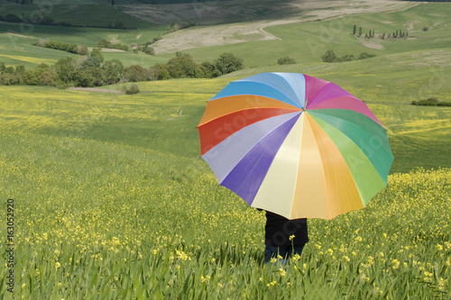 Ombrello multicolore in campo fiorito in primavera