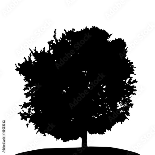 Black and White Silhouette of Deciduous Tree, whose branches dev