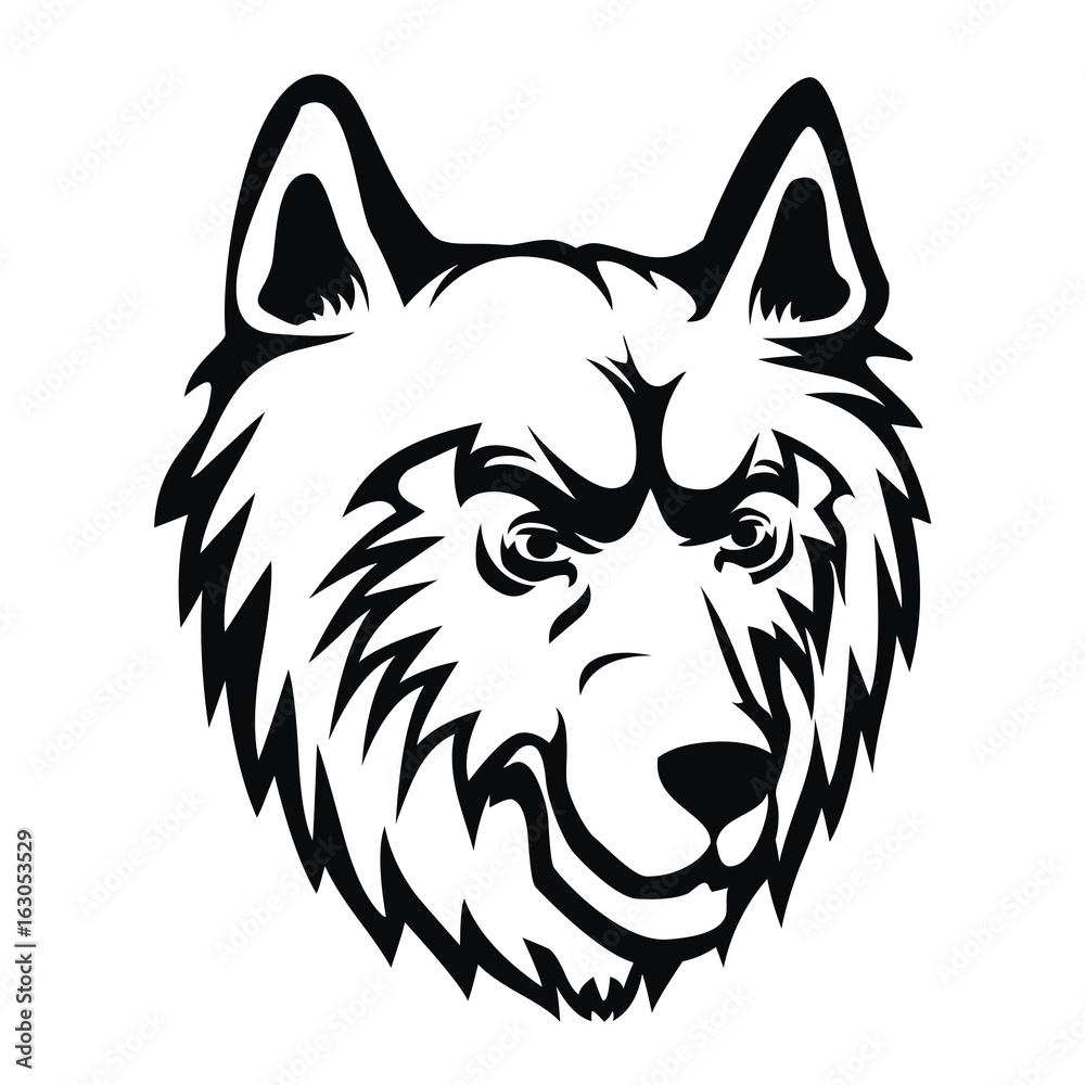 Fototapeta premium wolf