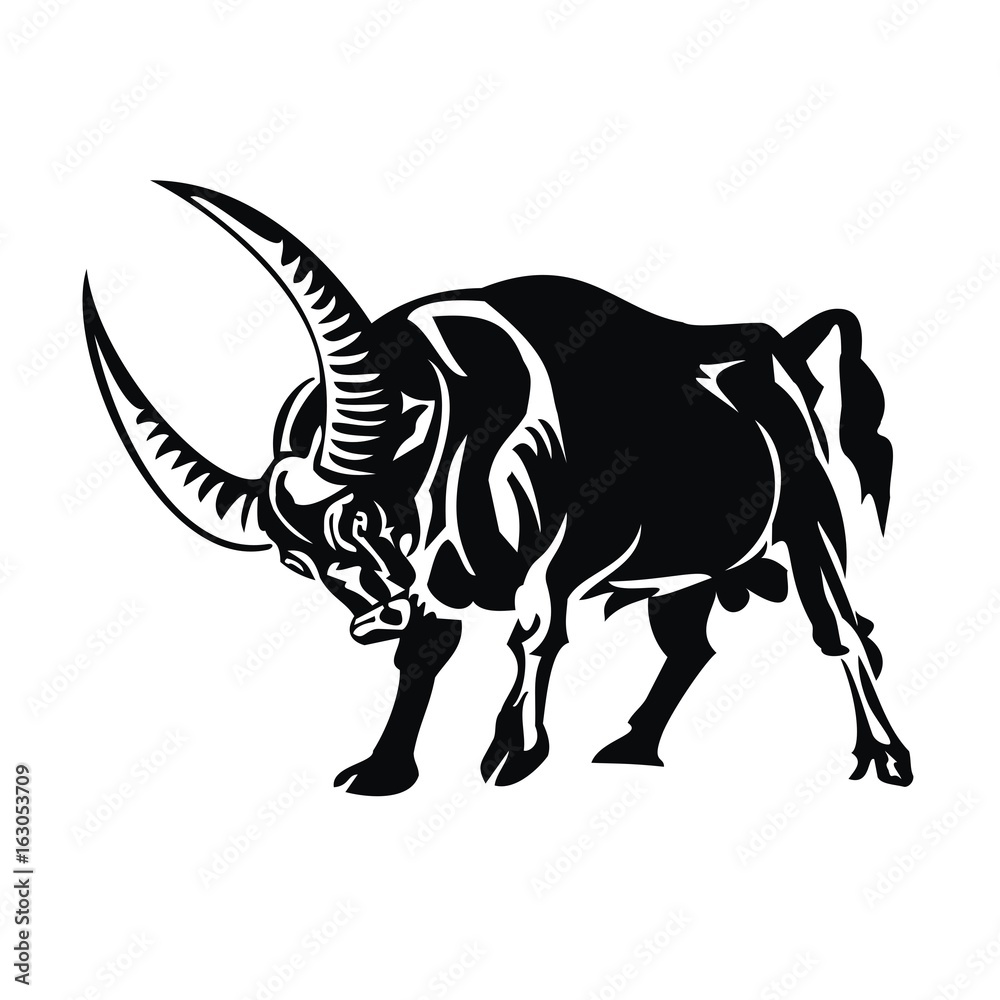 Obraz premium buffalo