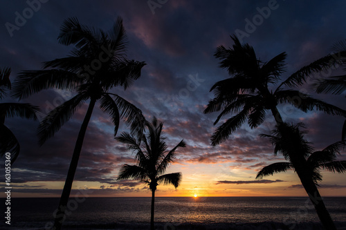 Atmospheric Sunset with palms