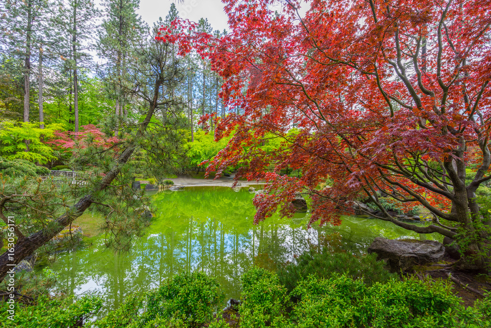 Colorful park in Japanese style. Manito Park and Botanical Gardens, Spokane, Washington, United States