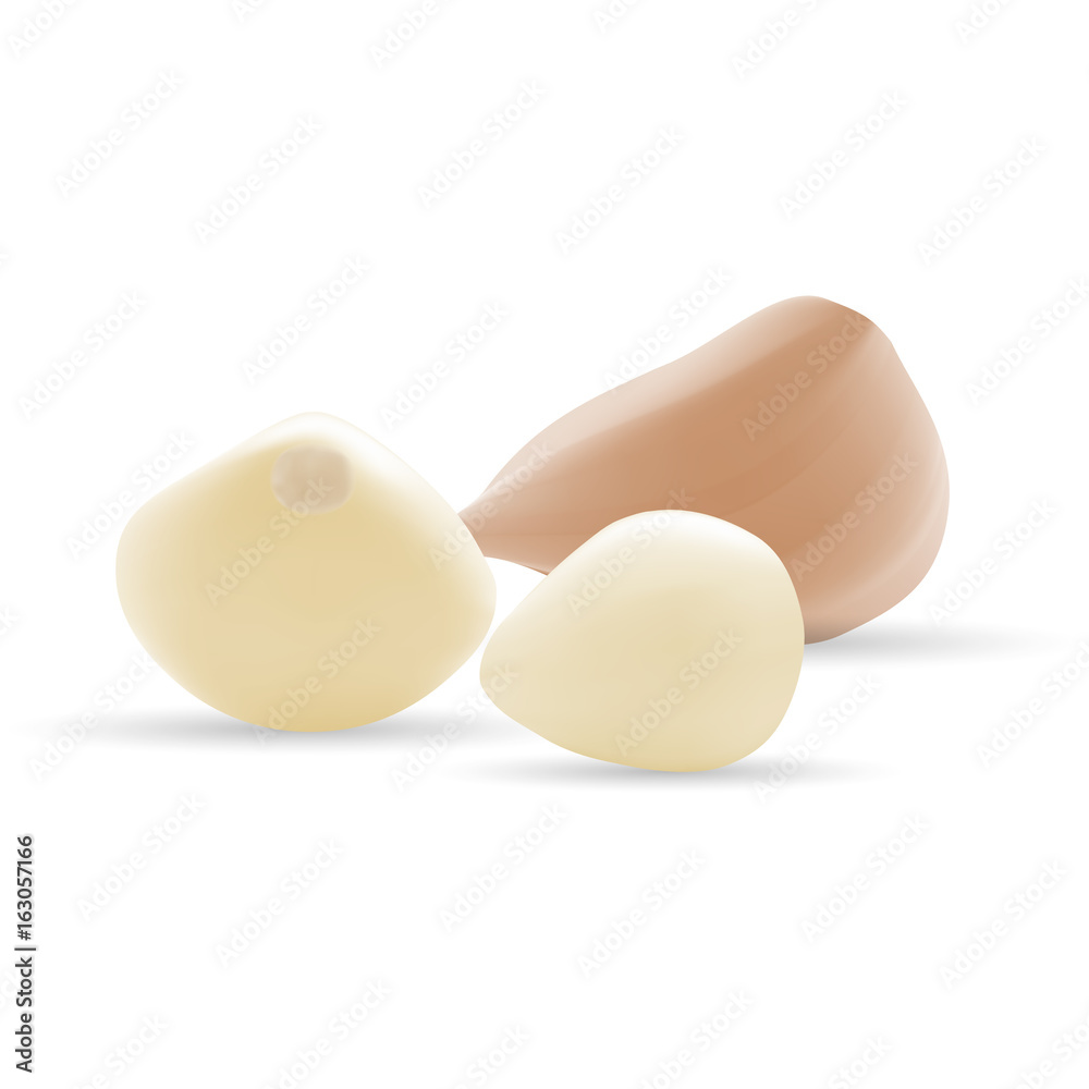 Garlic And Garlic Bulb Isolated On A White Background. Garlic And Garlic Bulb Isolated On A White Background.