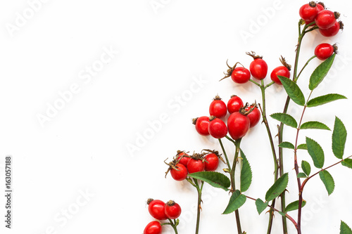bunch of fresh dog rose on white background. Different types Rosa canina hips - selective focus. room for text  photo
