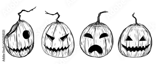 Halloween pumpkin by hand drawing.Halloween pumpkin sketch vector.Set of pumpkin in halloween.Pumpkin paint on white background.