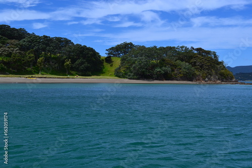 Fototapeta Naklejka Na Ścianę i Meble -  ocean view in New Zealand