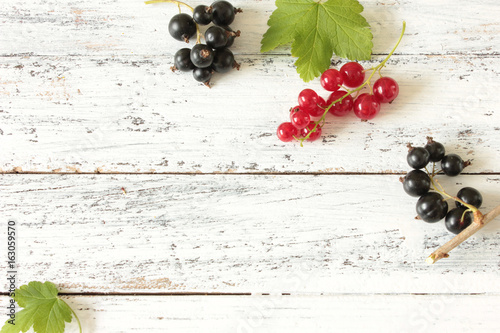 verschiedene Johannisbeeren Beeren Rot Schwarz Rote Schwarze Tisch Weiß Textfreiraum photo