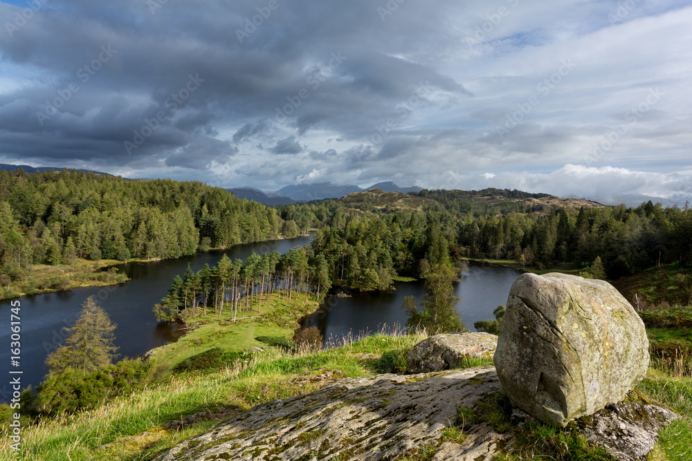 Fototapeta premium View over Tarn Hows in English Lake District