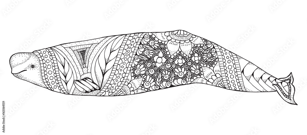 Fototapeta premium Zentangle wieloryb bieługi i kropkowane stylizowane ilustracji wektorowych. Wzór. Sztuka Zen. Czarno-biały ilustracja na białym tle. Kolorowanka antystresowa dla dorosłych.