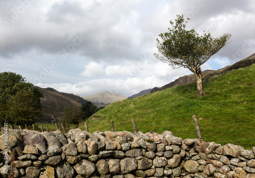 Old stone wall in Lake District