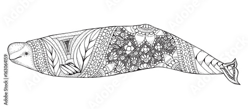 Beluga whale zentangle and stippled stylized vector illustration. Pattern. Zen art. Black and white illustration on white background. Adult anti-stress coloring book.