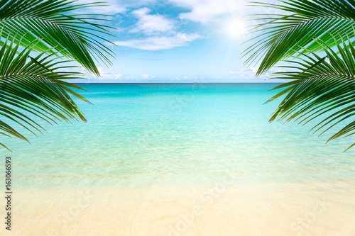 Sunny tropical beach with palm trees