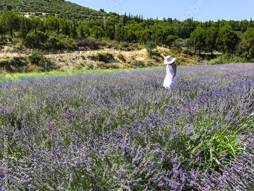 Lavender, which we know with its unique smell, has recently attracted attention with its benefits for human health.