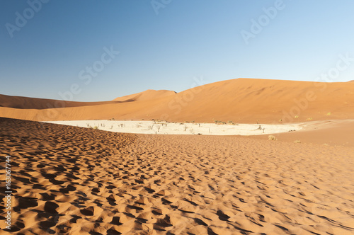 Dead acacia trees and dunes in the Namib desert   Dunes and dead acacia trees in the Namib desert  Dead Vlei  Sossusvlei  Namibia  Africa.