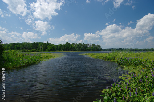 Fototapeta Boat Channel: A waterway for small boats leads into the Chippewa Flowage lake region of northern Wisconsin