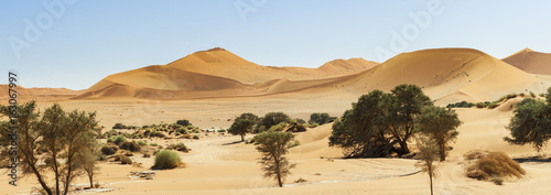 Dunes in the Namib Desert