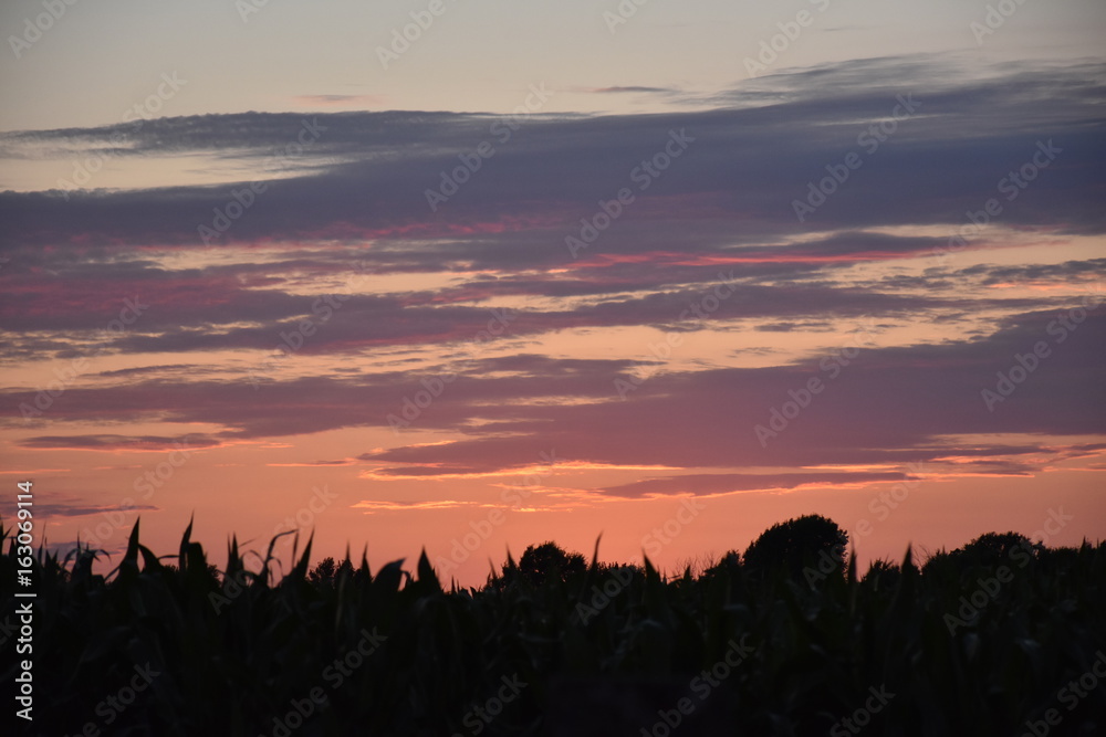 Obraz premium Pink and Purple Sunset