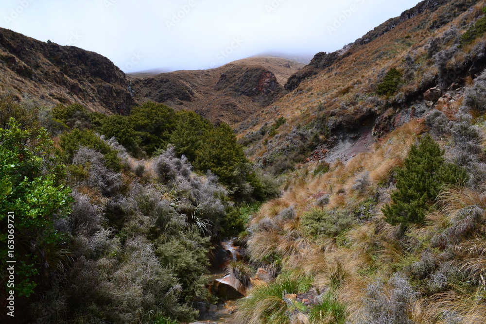 Landscape with mountains in New Zealand