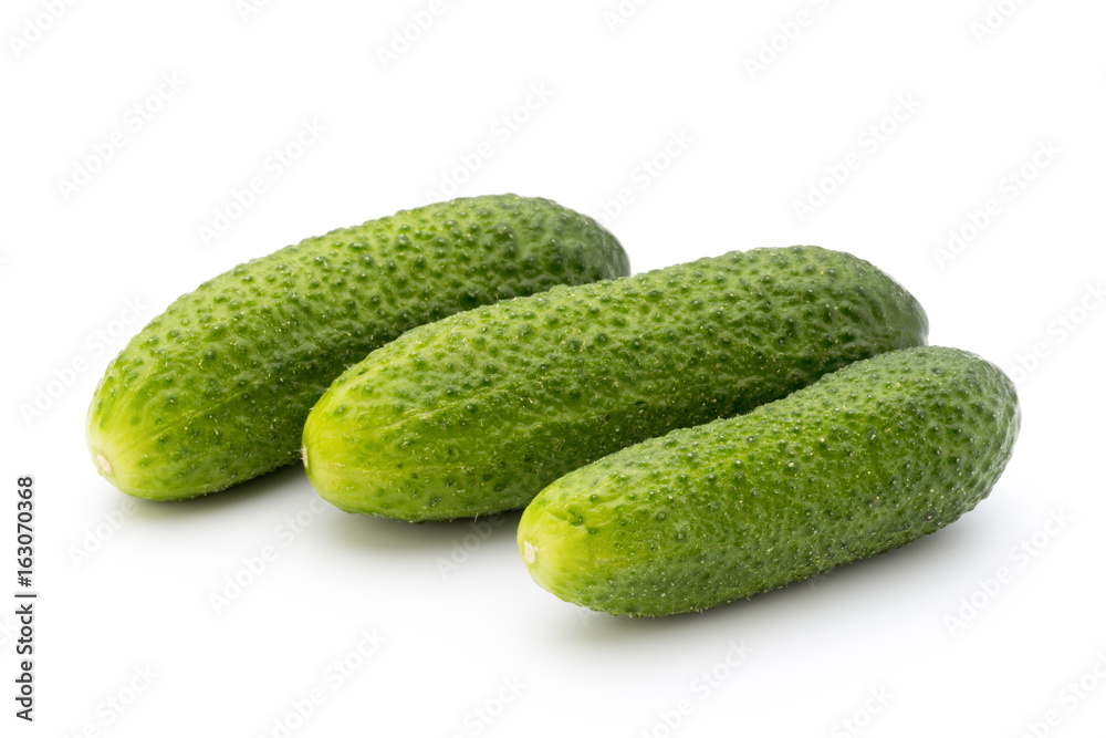 The first spring ecologically cucumbers. The first spring ecologically cucumbers.