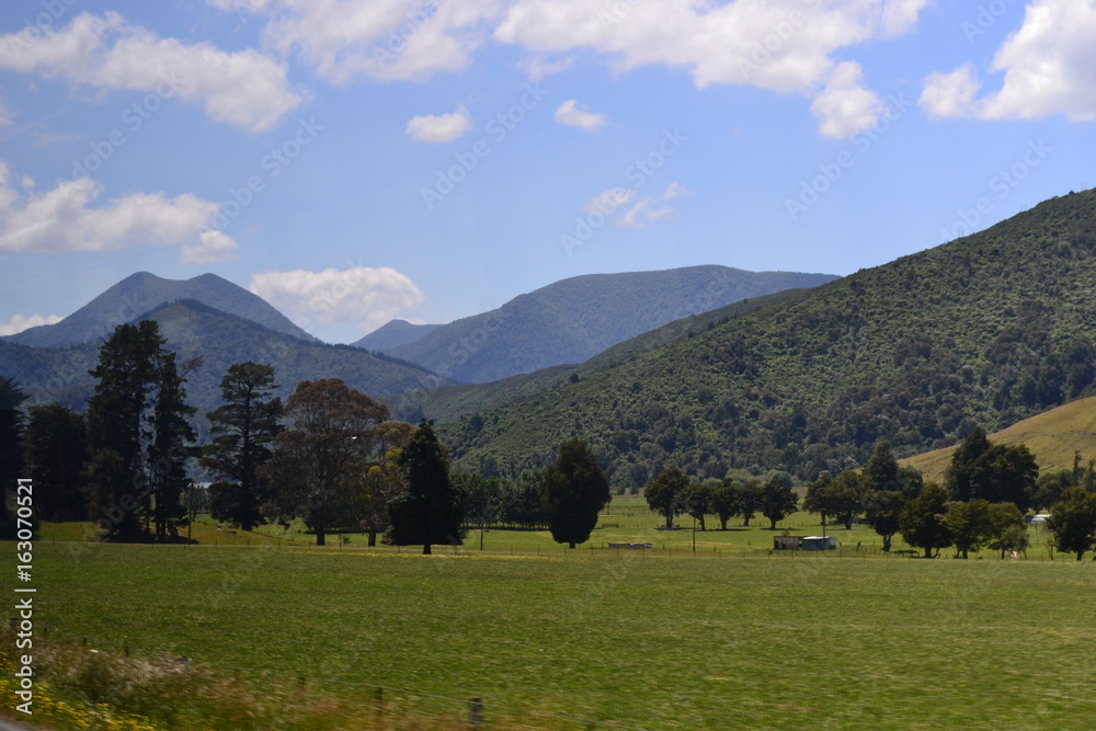 Landscape in New Zealand