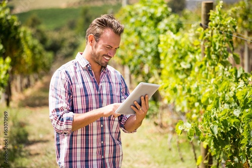 Obraz na plátně Man using digital tablet at vineyard