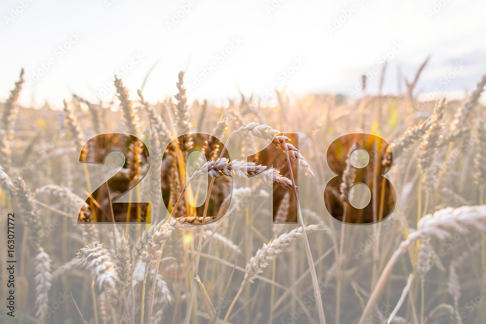 Fototapeta premium Jahreswechsel 2018