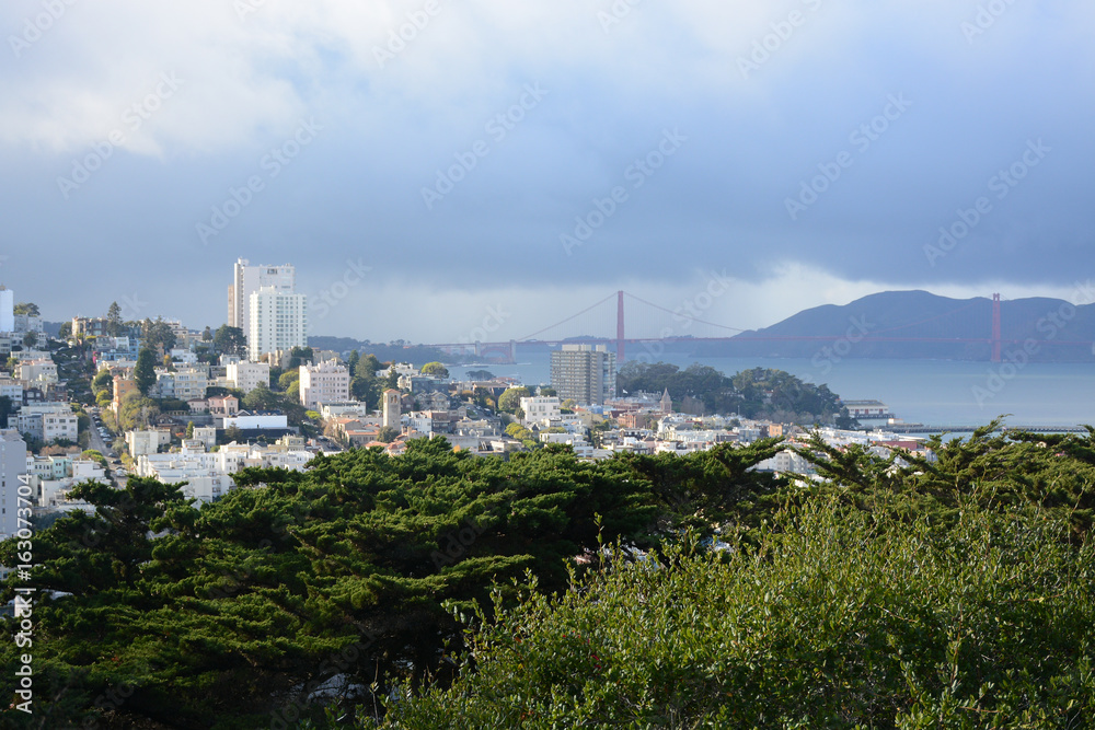 Obraz premium View from Pioneer Park in San Francisco, California, U.S.A