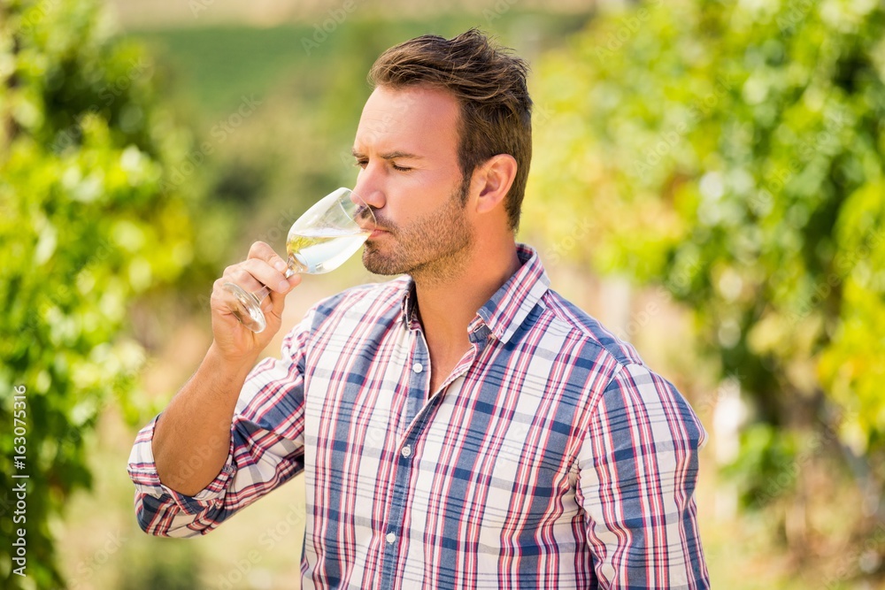 Fototapeta premium Man drinking wine