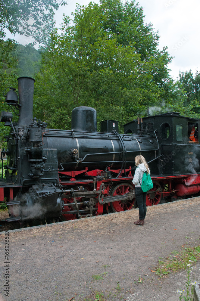 Fototapeta premium kuckucksbähnel im bahnhof elmstein