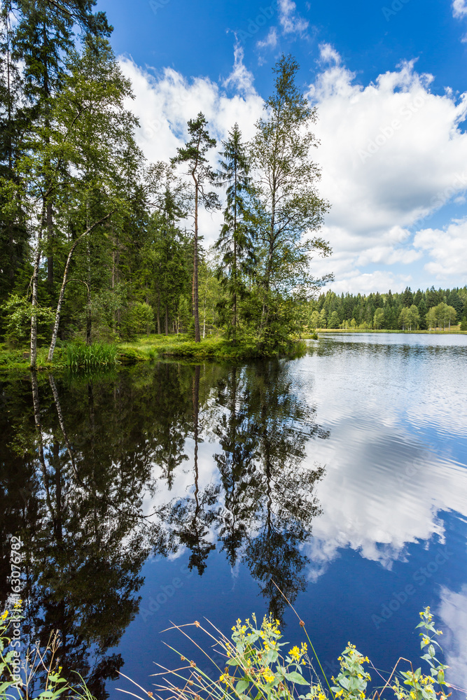 Obraz premium blue lake with reflective surface surrounded by trees