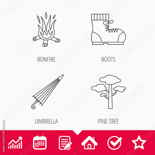 Pine tree, bonfire and hiking boots icons. Umbrella linear sign. Edit document, Calendar and Graph chart signs. Star, Check and House web icons. Vector