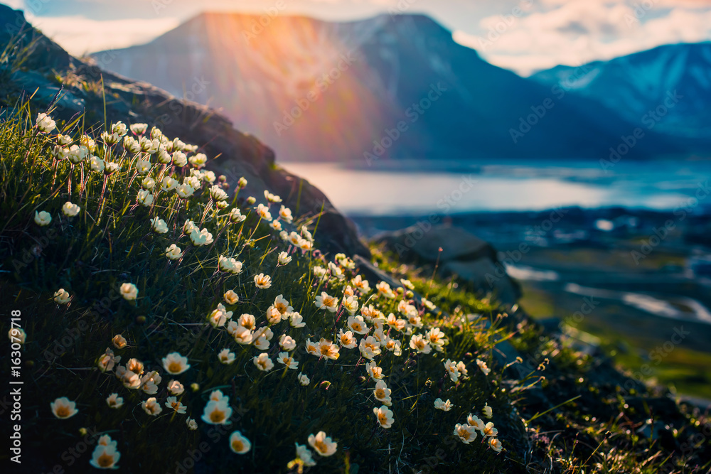 Wallpaper norway landscape nature of the mountains of Spitsbergen