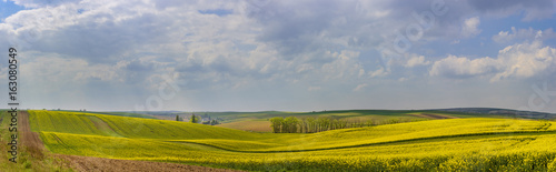 Panorama of wavy hills in South Moravia during sunrise