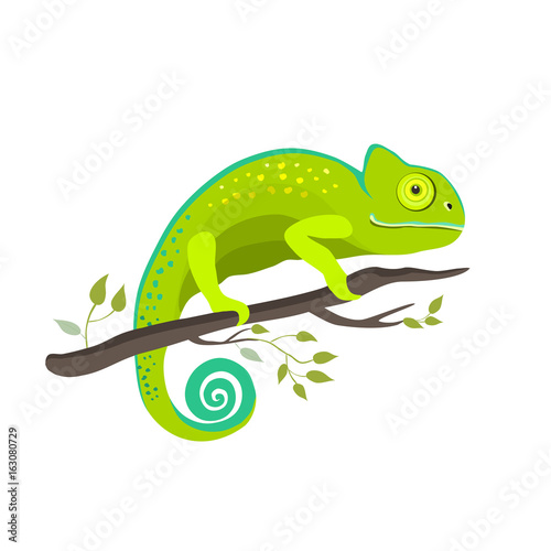 Chameleon icon. Cartoon illustration of walking chameleon vector for web photo