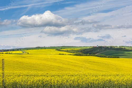 Wavy meadows spring landscape in South Moravia