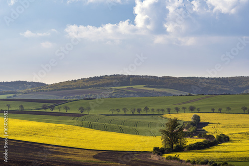 Wavy fields in the evening on South Moravia
