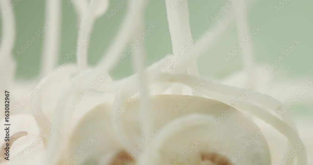 closeup of noodles with mushrooms closeup of noodles with mushrooms