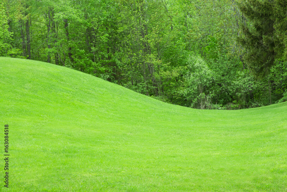 Grass field with rolling green hill and trees
