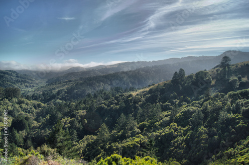 Muir Woods - Scenic View