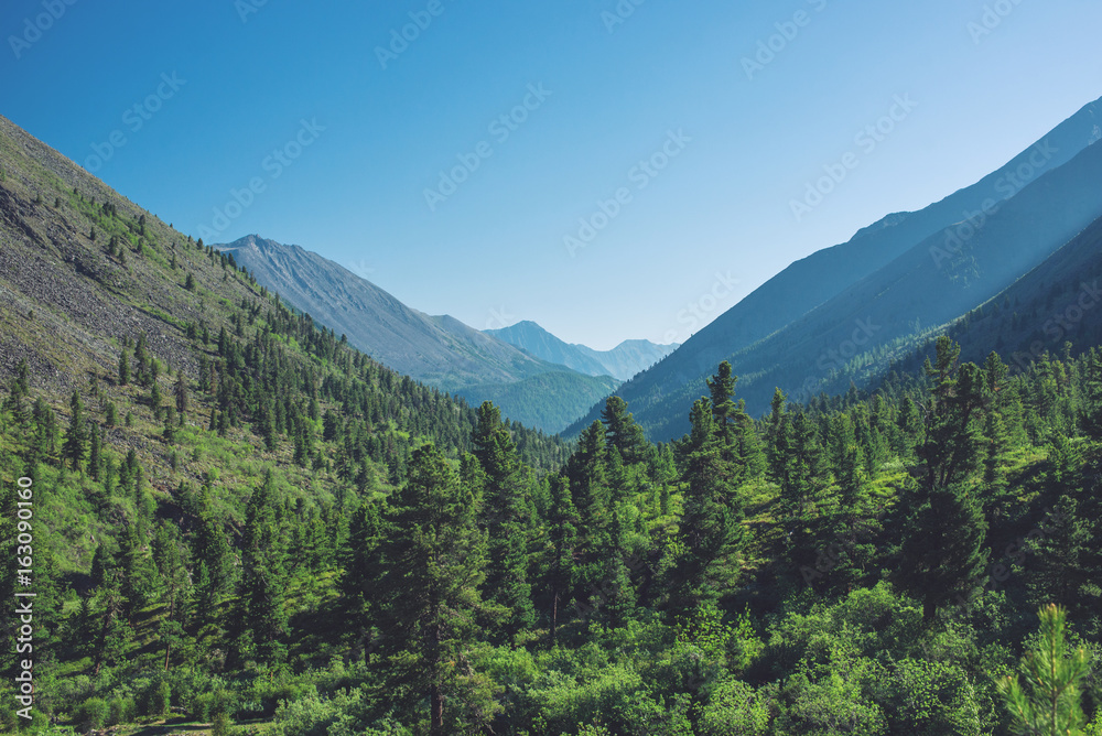 Panorama of mountains covered with green and blue sky with clouds. View of the valley
