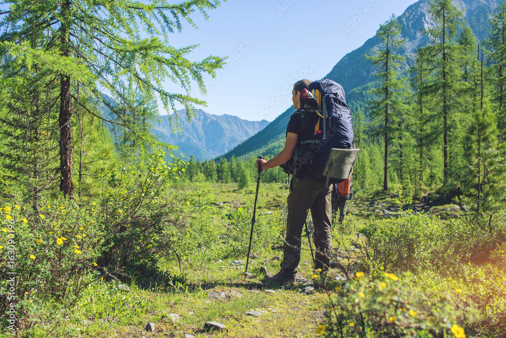 Healthy Active man with backpack hiking in beautiful mountain forest in the summer in the sun Healthy Active man with backpack hiking in beautiful mountain forest in the summer in the sun