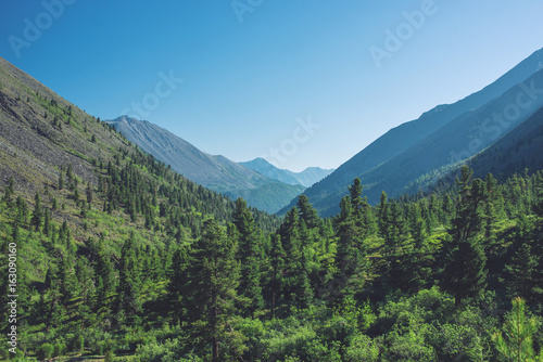 Panorama of mountains covered with green and blue sky with clouds. View of the valley
