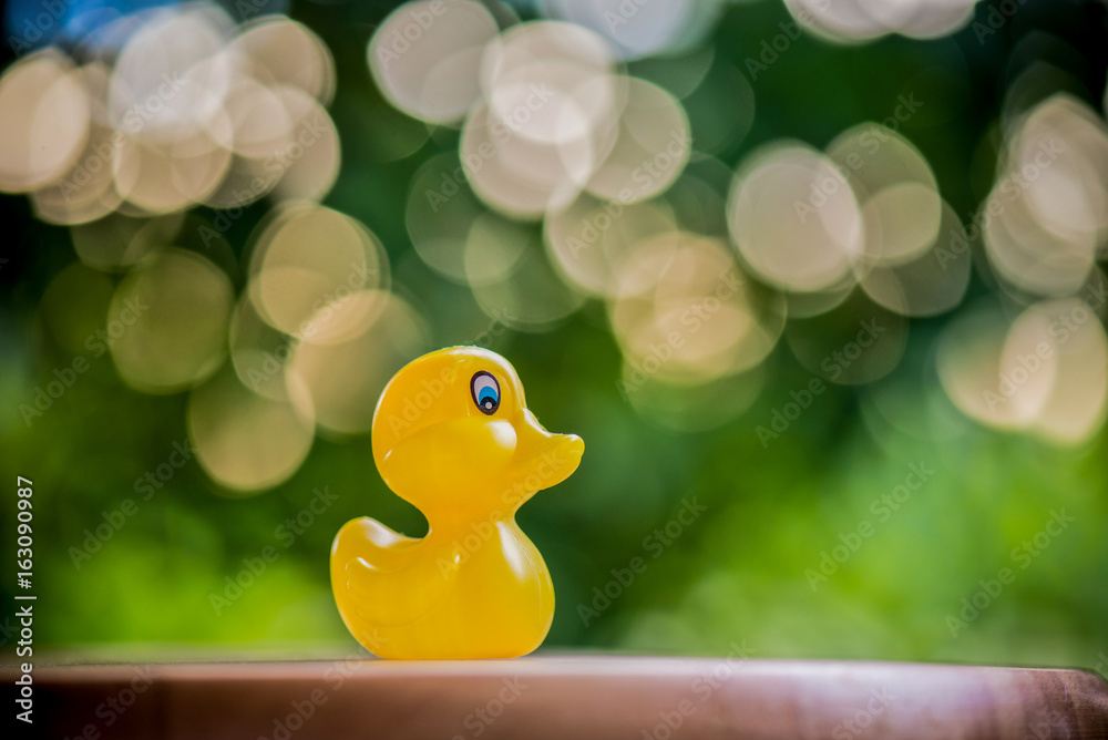 Duck doll blurred for background Duck doll blurred for background