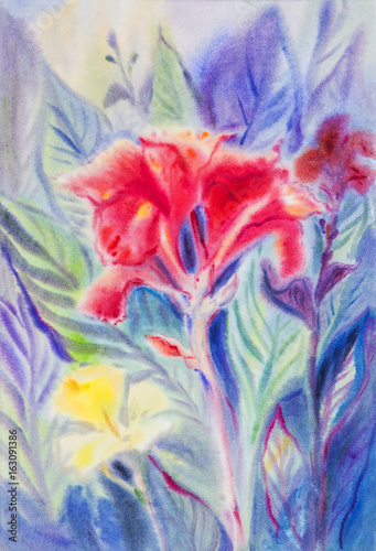 Painting red yellow color of canna flower and green leaves