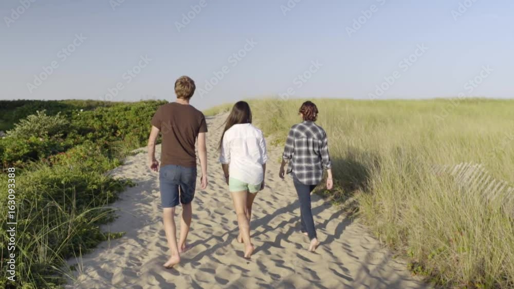 Group Of Multiethnic Teens Walk Along Sandy Beach Path Group Of Multiethnic Teens Walk Along Sandy Beach Path