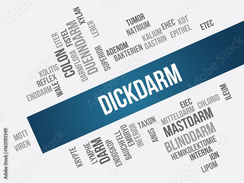 Dickdarm