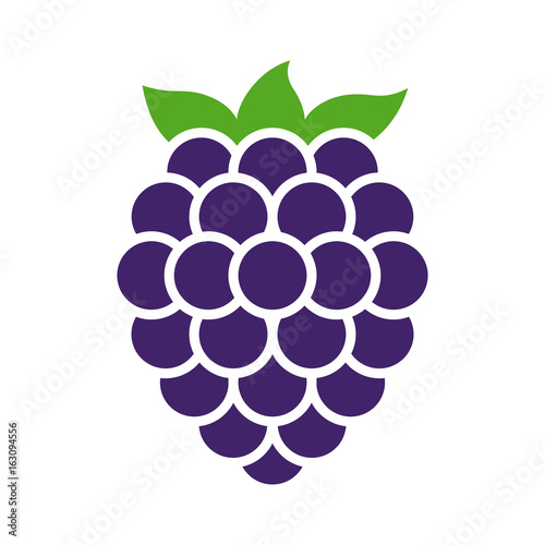 Blackberry fruit or blackberries flat color vector icon for food apps and websites