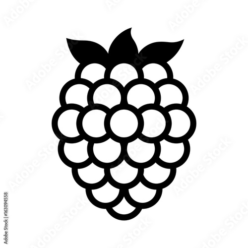 Blackberry fruit or blackberries line art vector icon for food apps and websites