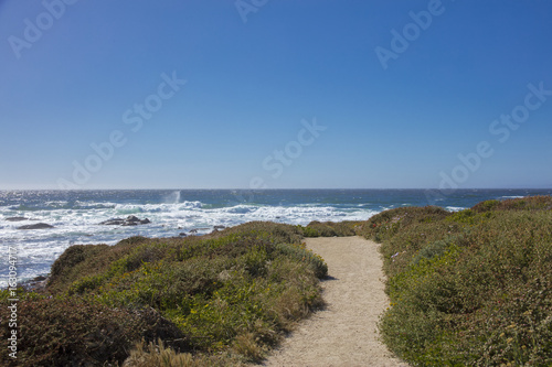 View of path along coast of 17 mile drive leading to ocean Pebble Beach California