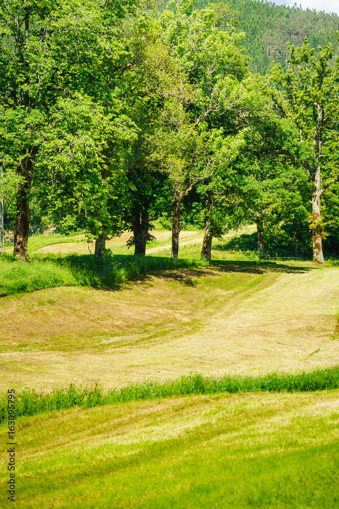 Beautiful landscape of green meadow field